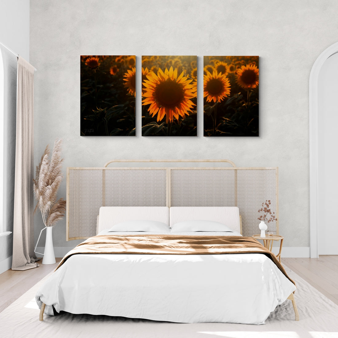 Campos de girasoles