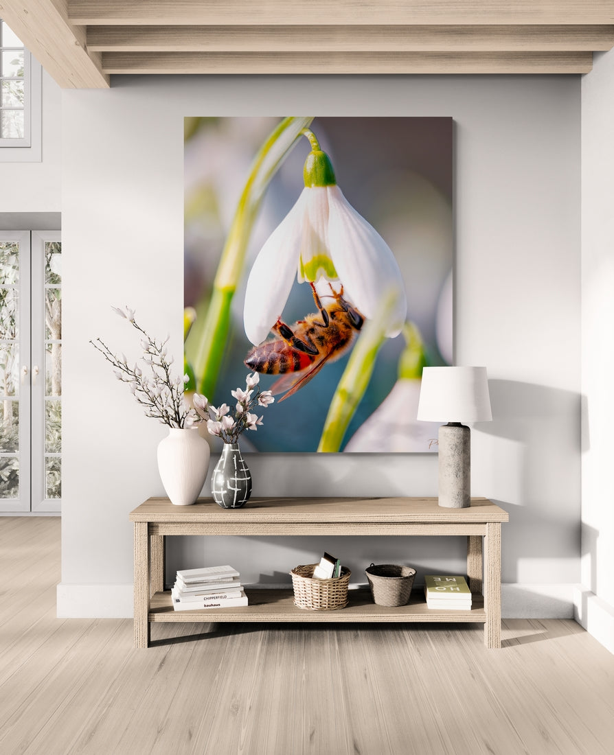 Abeille sur perce-neige