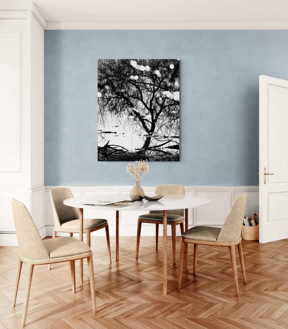 Arbre reflet