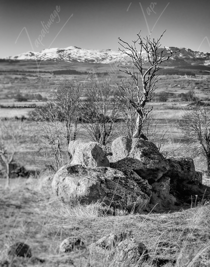 Auvergne