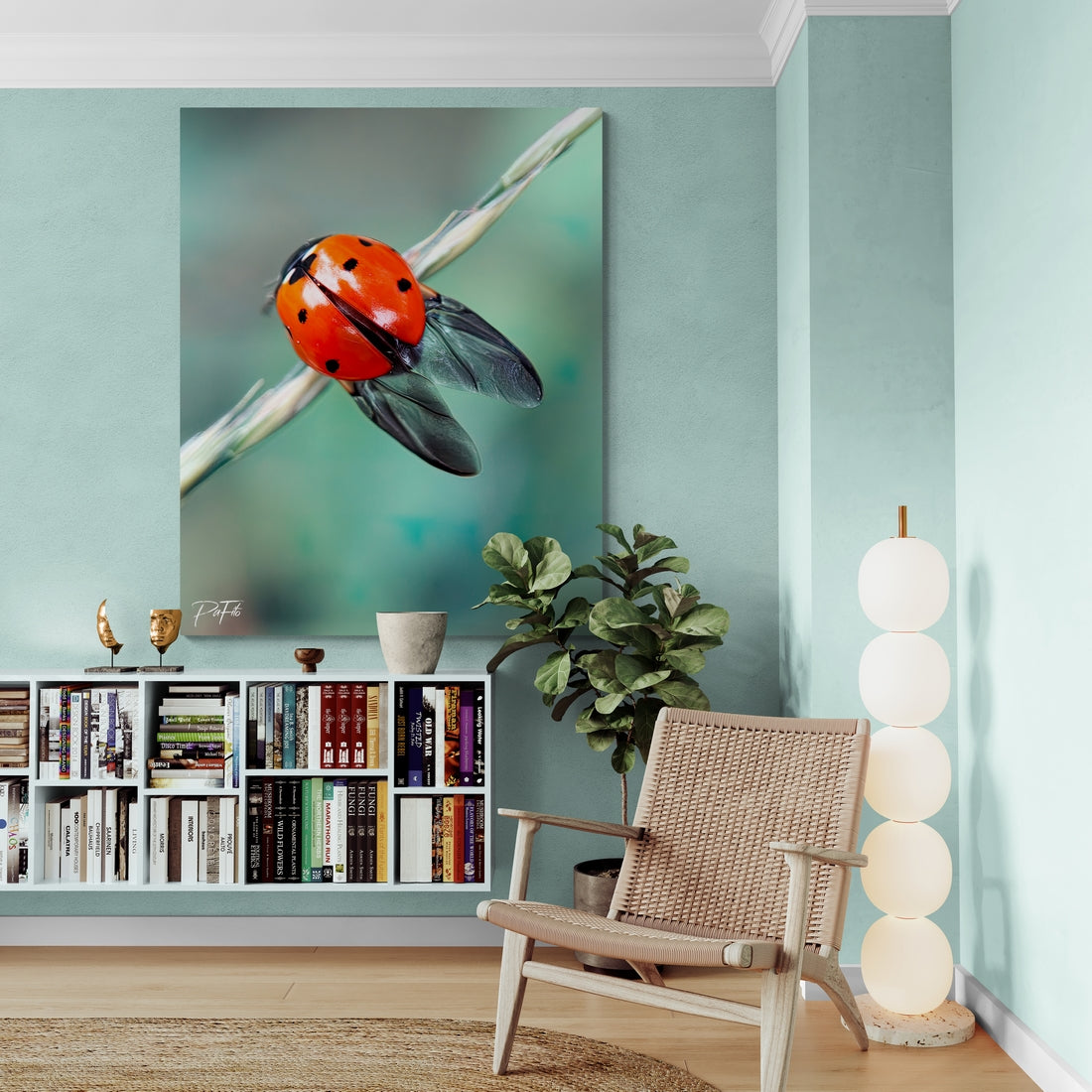 Coccinelle