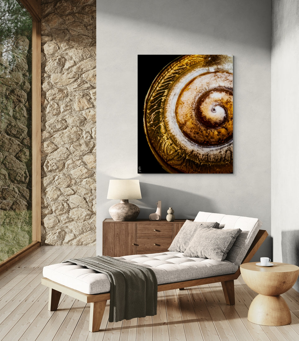 Coquille