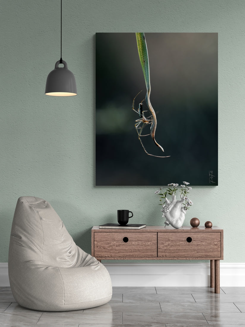 Escarpin