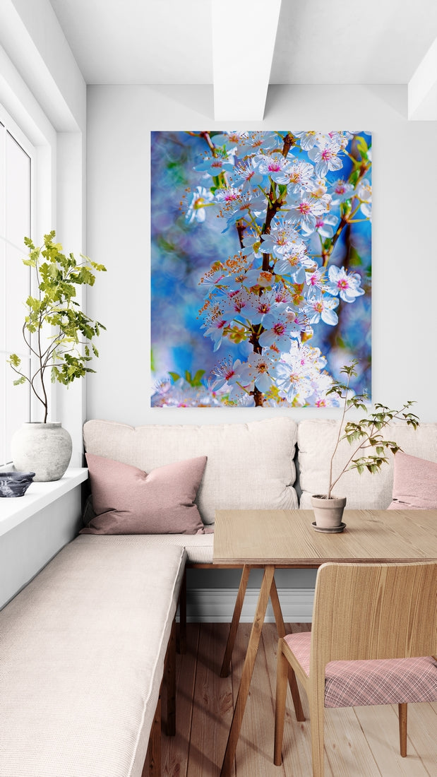 Fleurs de cerisier