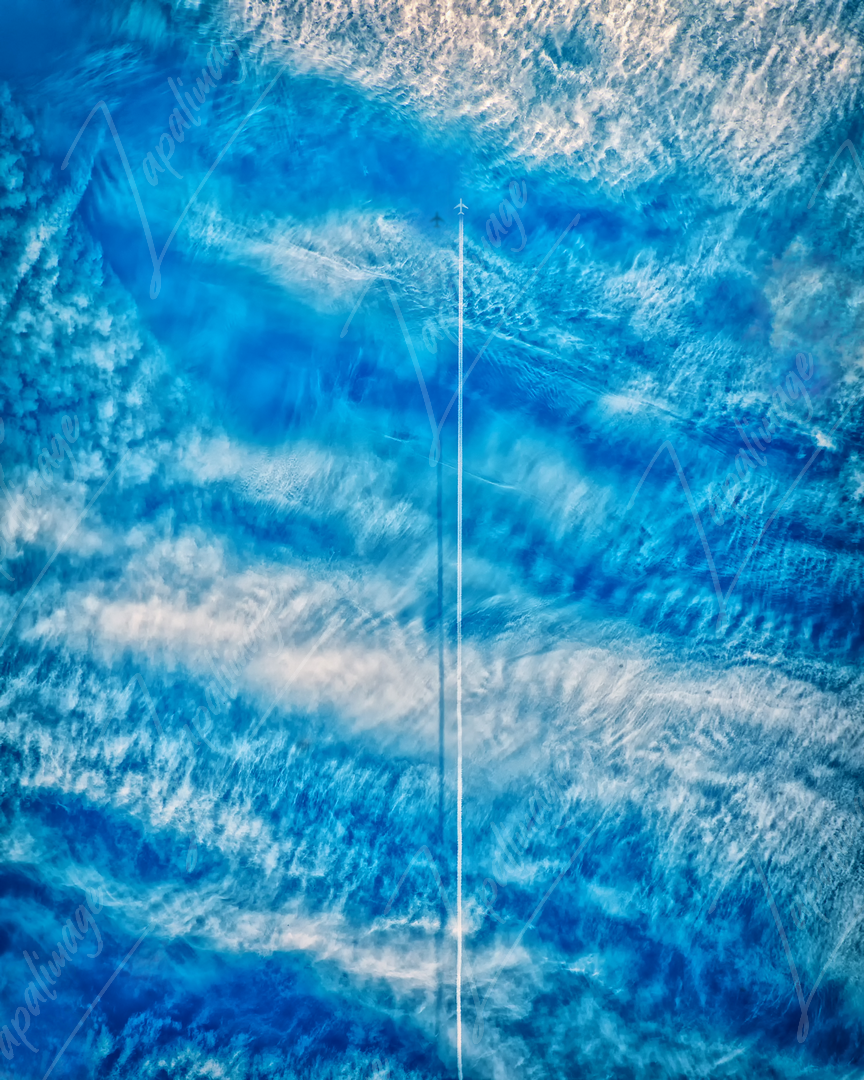 Flight