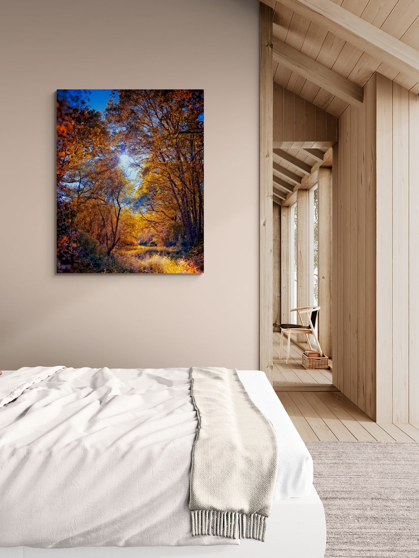 Forêt en automne