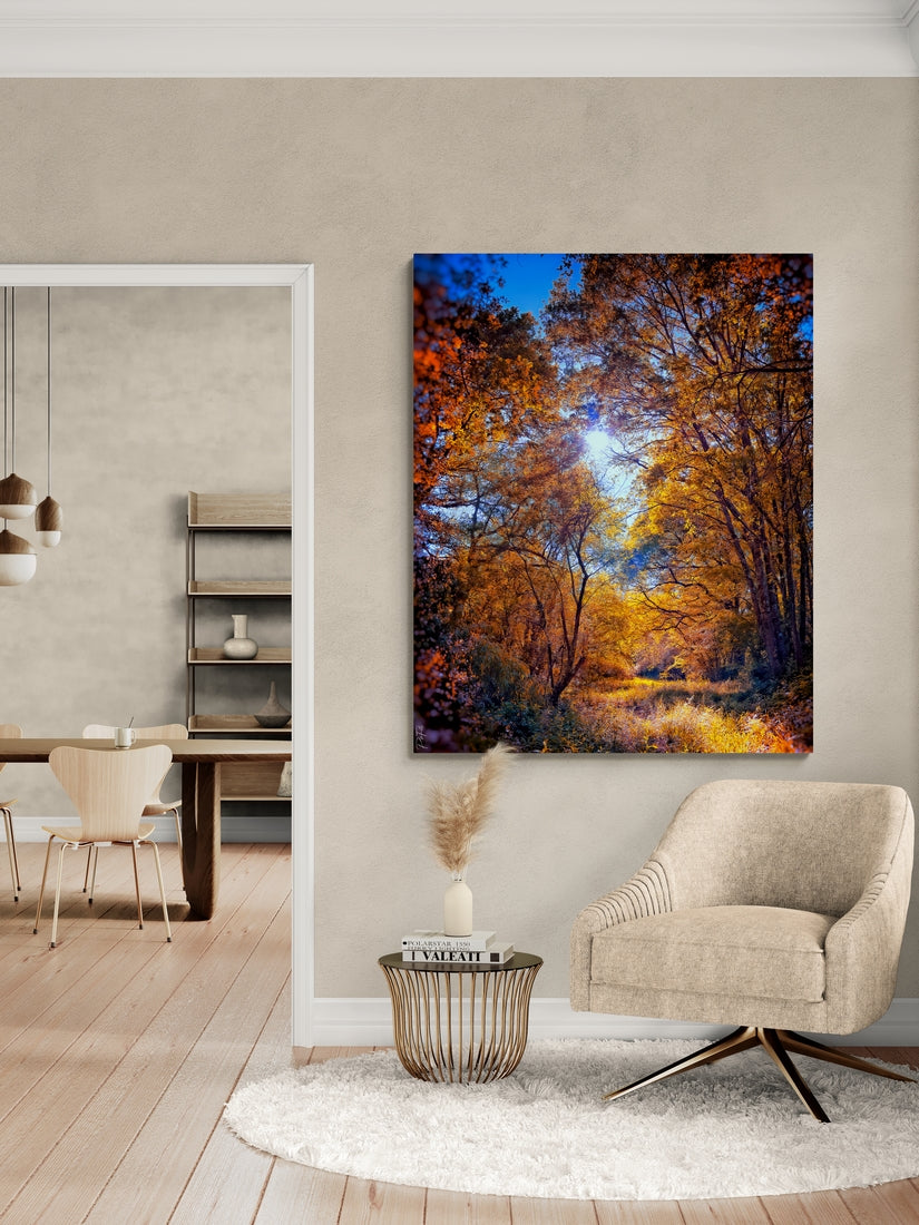 Forêt en automne