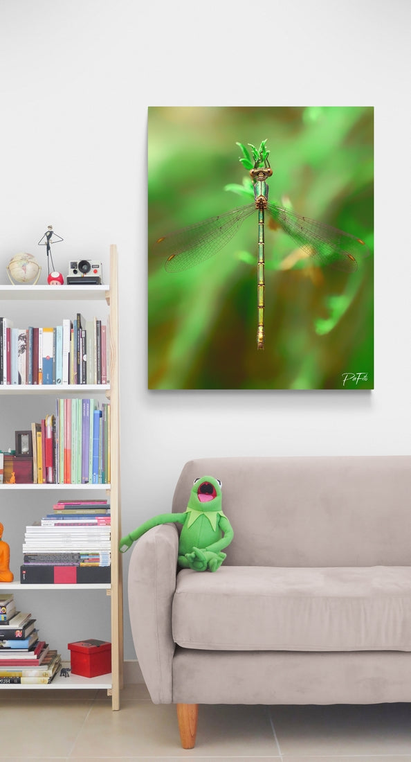 Green light dragonfly