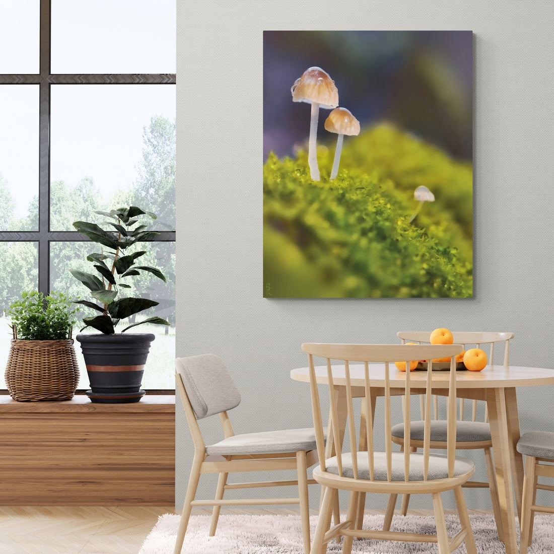 Mushroom Family