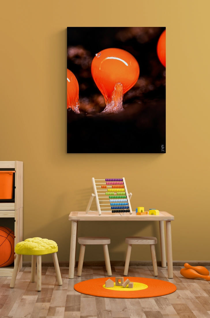 Myxomycètes orange