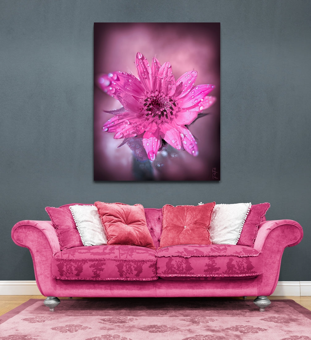 Octobre Rose