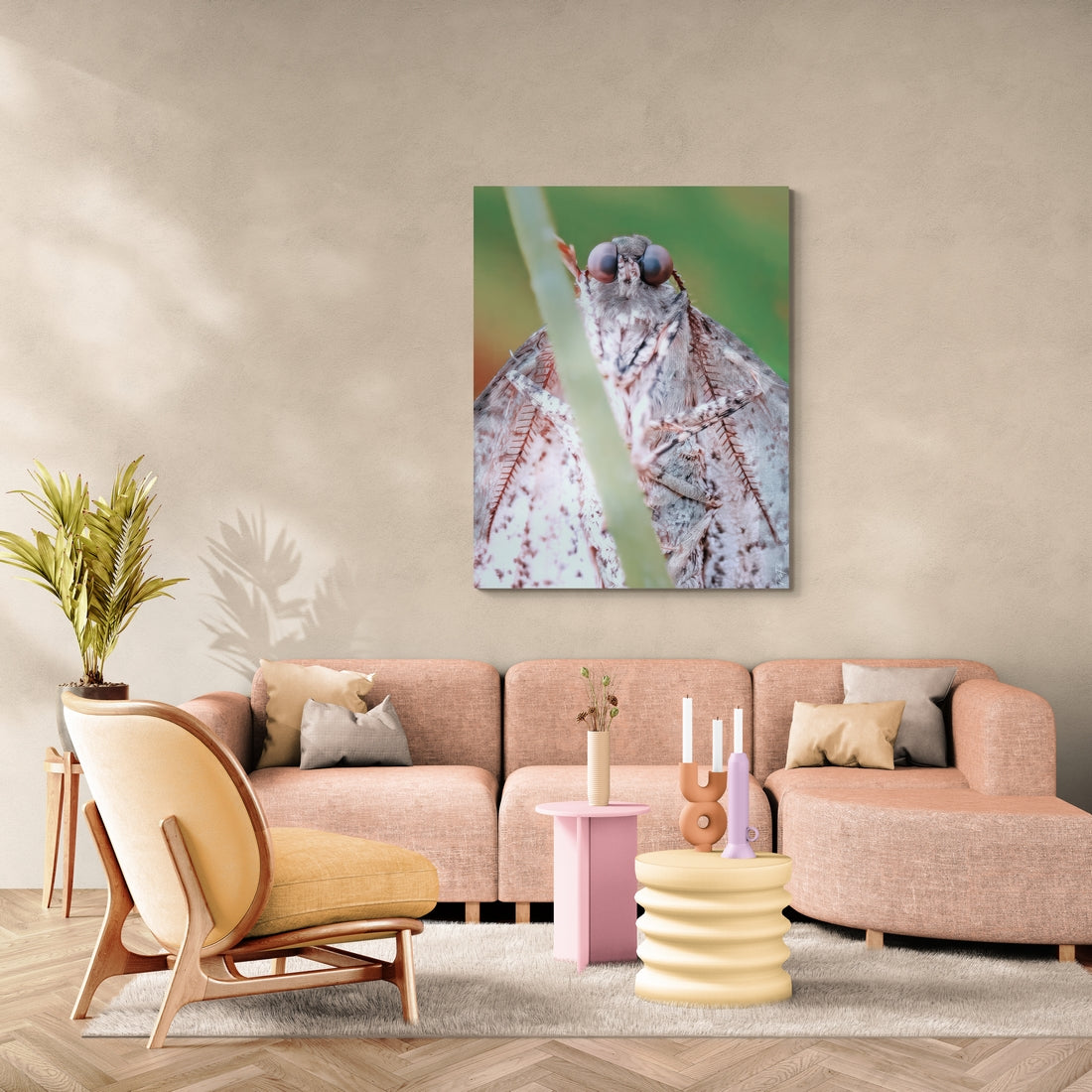 Le regard du papillon