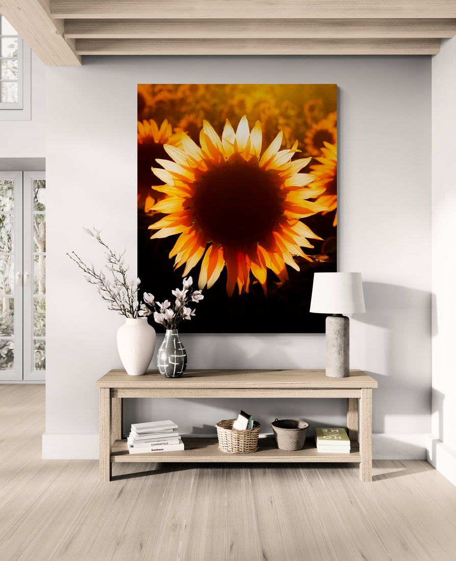 Tournesol