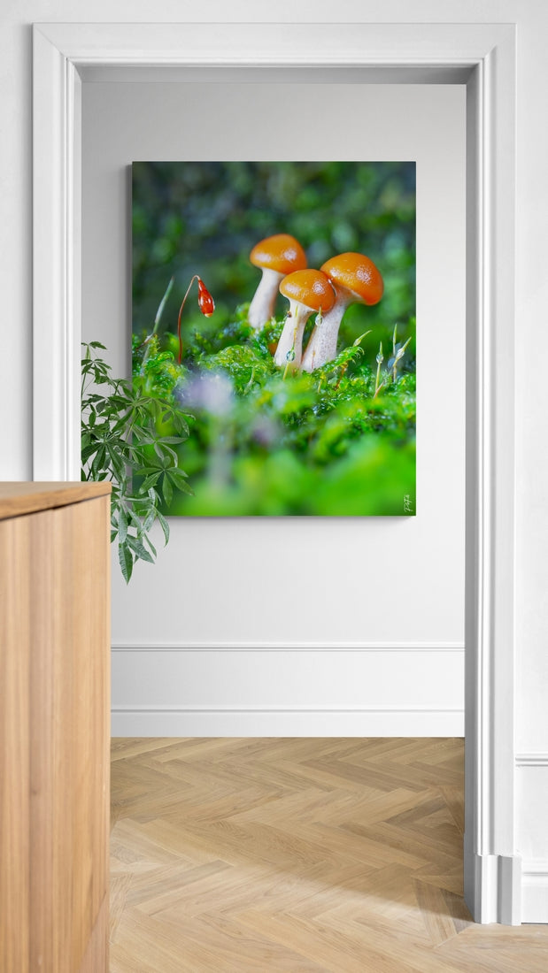Trio of mushrooms