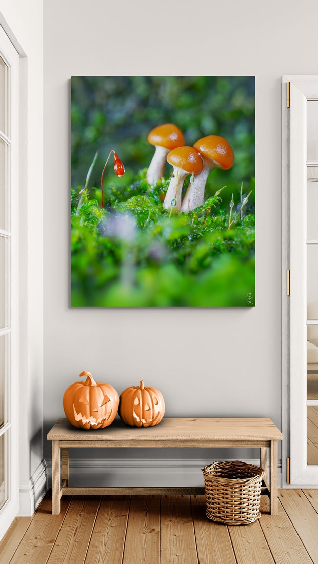 Trio of mushrooms