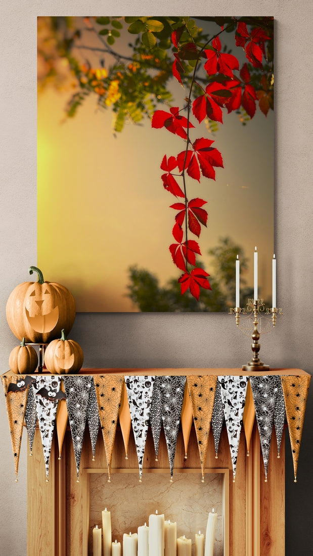 Virginia creeper at autumn sunset