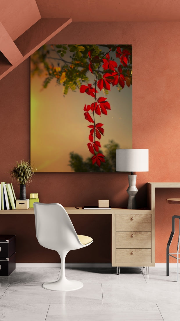 Virginia creeper at autumn sunset