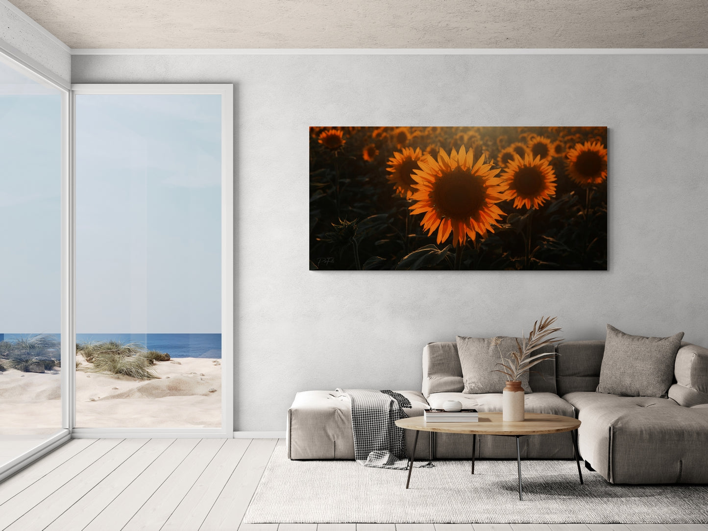 Campos de girasoles