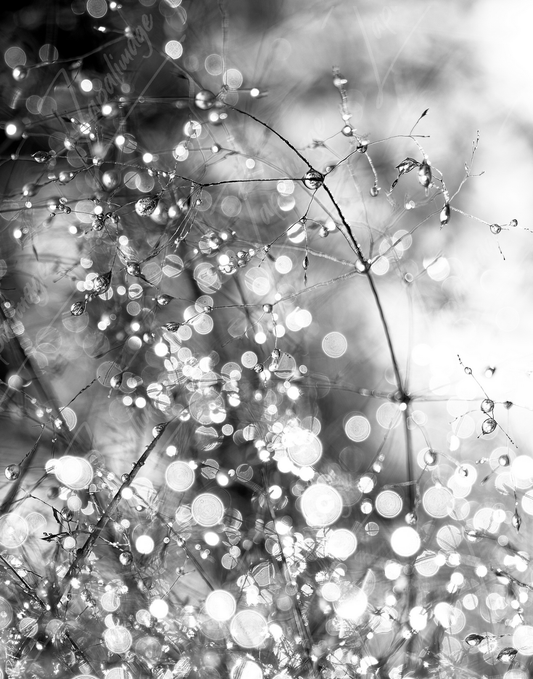 Magia de gotas