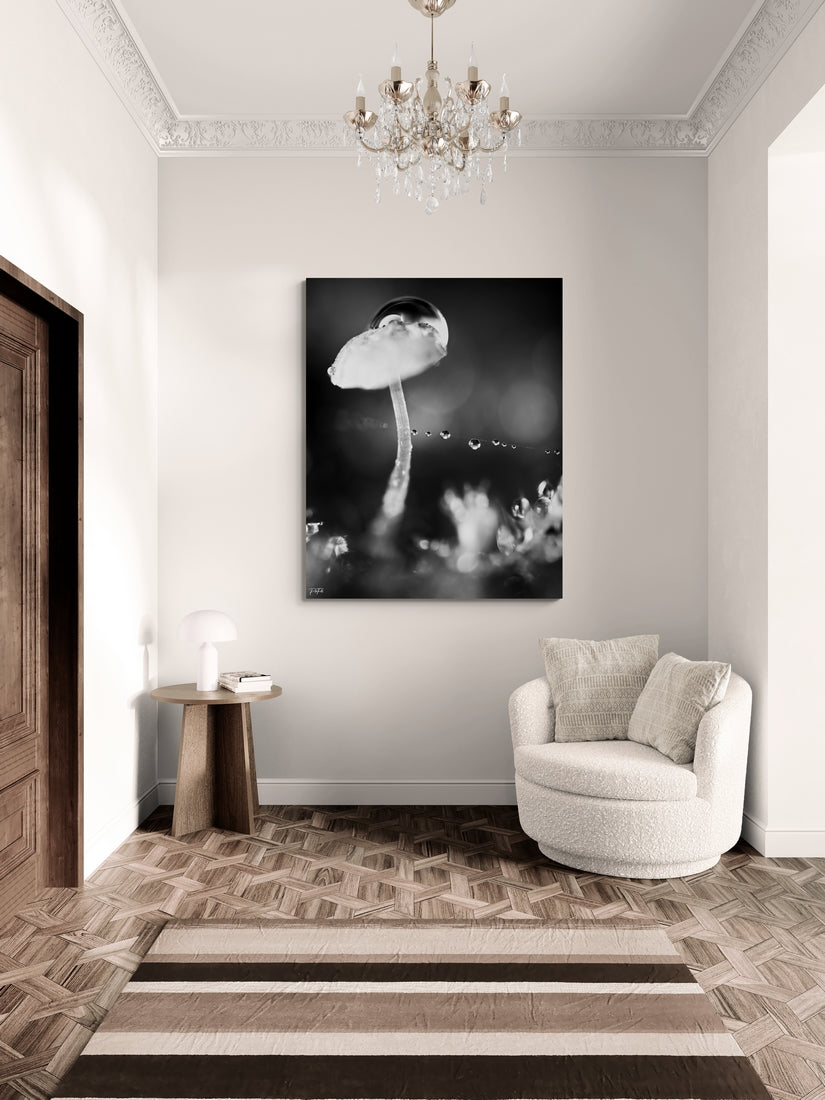Mushdrop noir et blanc