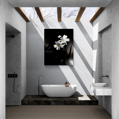 Stellaire holostée Noir et Blanc