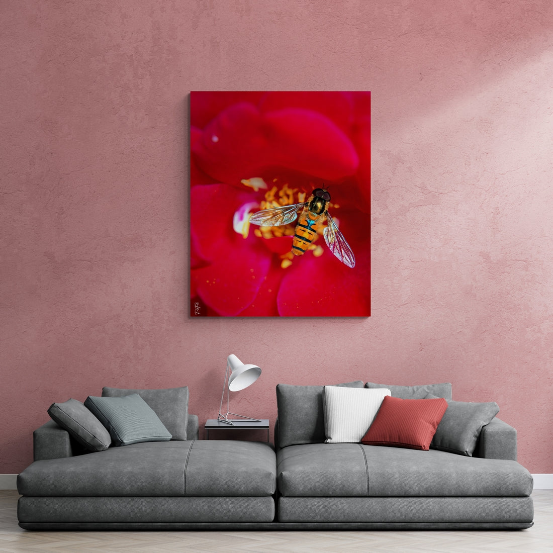 La Syrphe et la rose